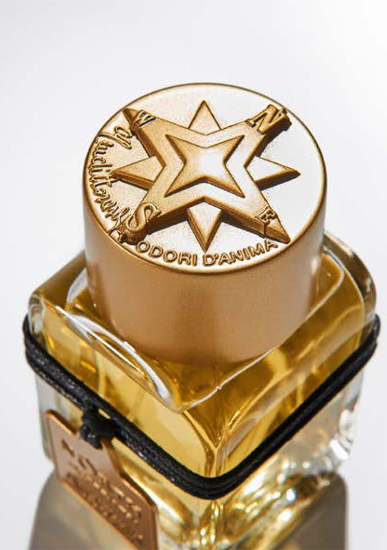 Cat-Odori-d_Anima-SS-22-ENG-10