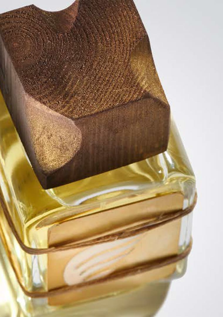 Cat-Odori-d_Anima-SS-22-ENG-19