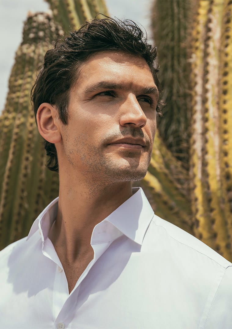 Pitti_seidensticker_11