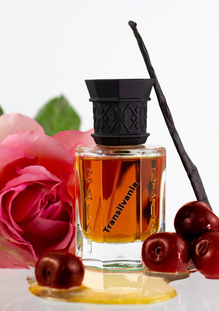 TRANSILVANIA-1resize