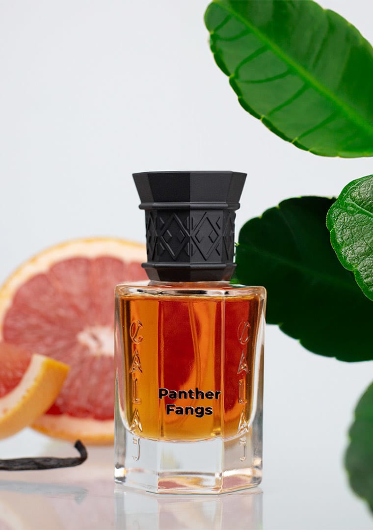 PANTHER-FANGS-1