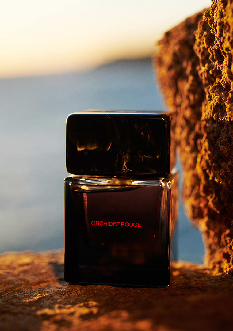 LM_SORA_DORA_ORCHIDEE_ROUGE_0875