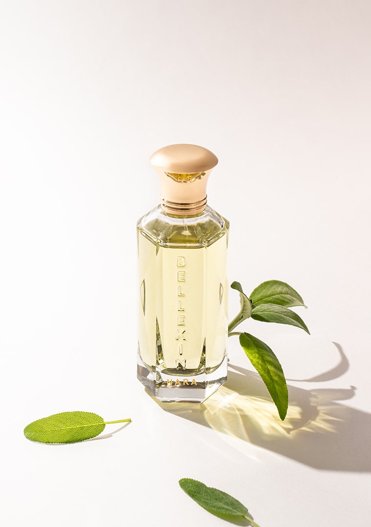 DSC09343-1_Dve-Studio