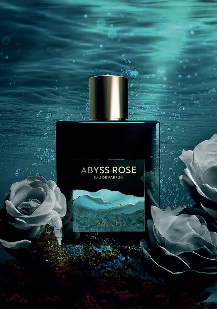 Brand-book-Salum-ENG-11