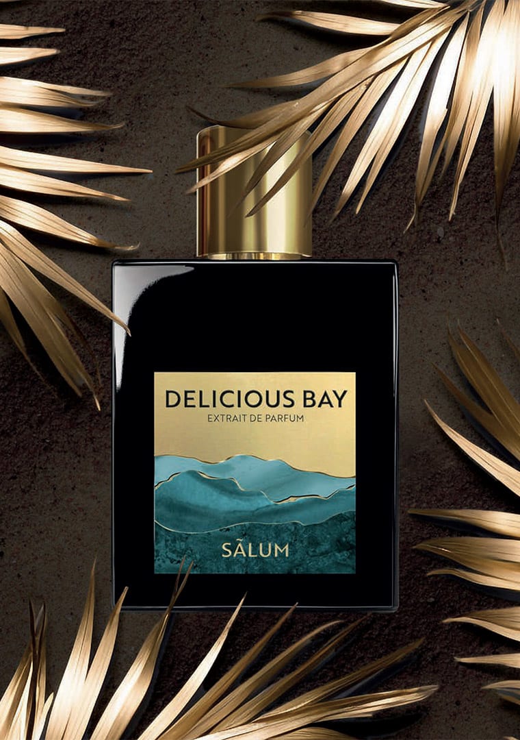 Brand-book-Salum-ENG-18