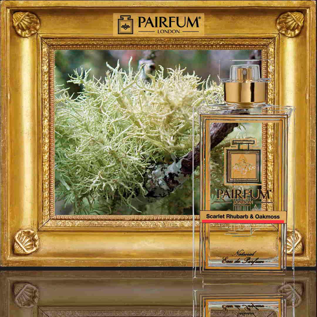 Parfum-Frame-Ingredient-Scarlet-Rhubarb-Oakmoss-Roman