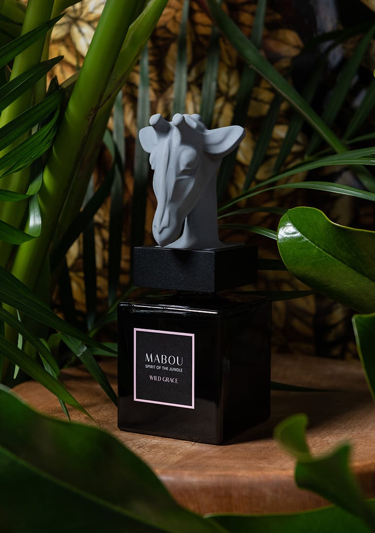 MABOU-EXPERIENCE-3517