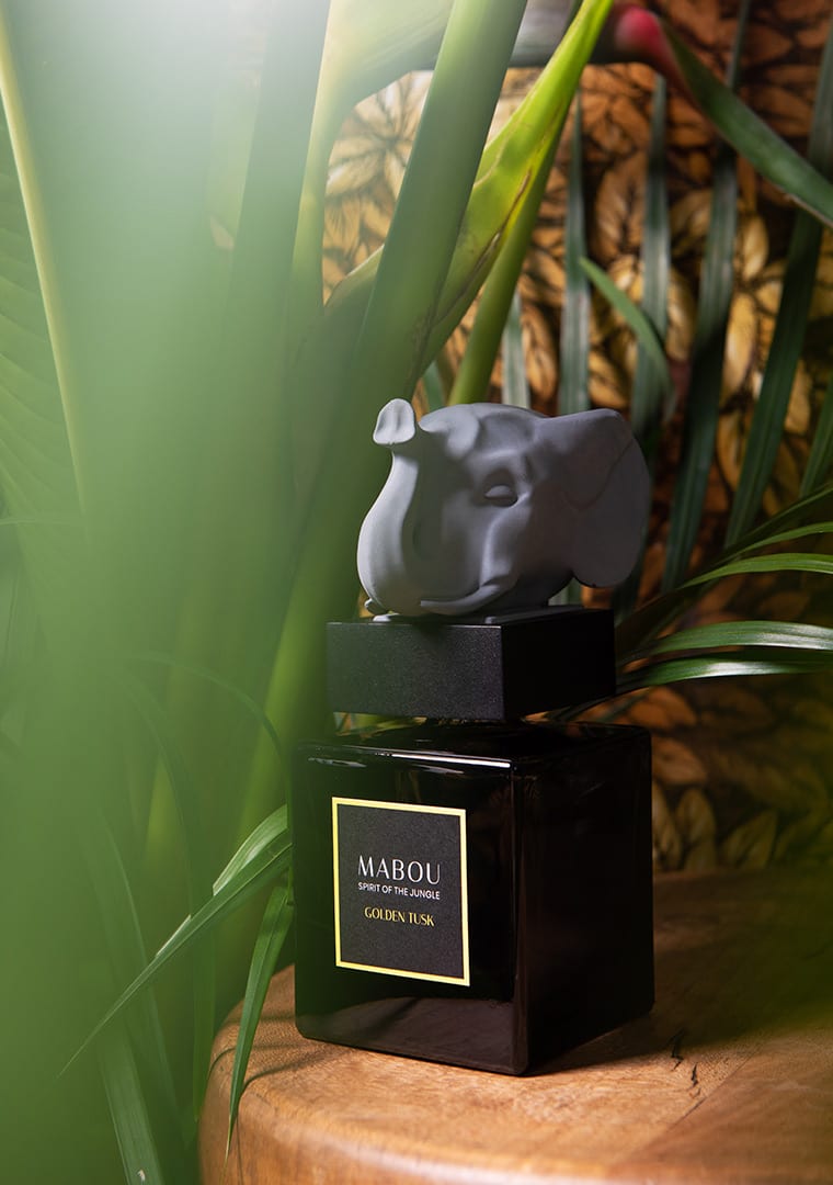 MABOU-EXPERIENCE-3541