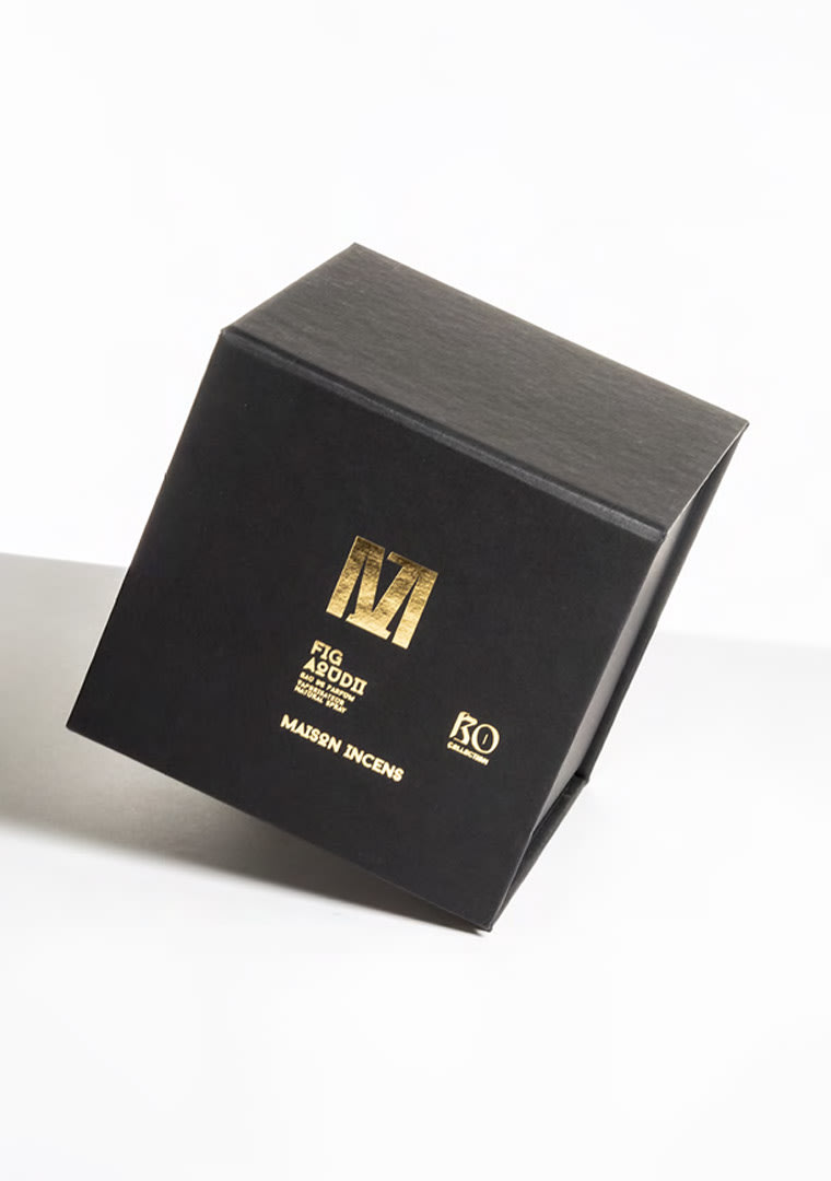 Maison-Incens-Presentation-2024-11