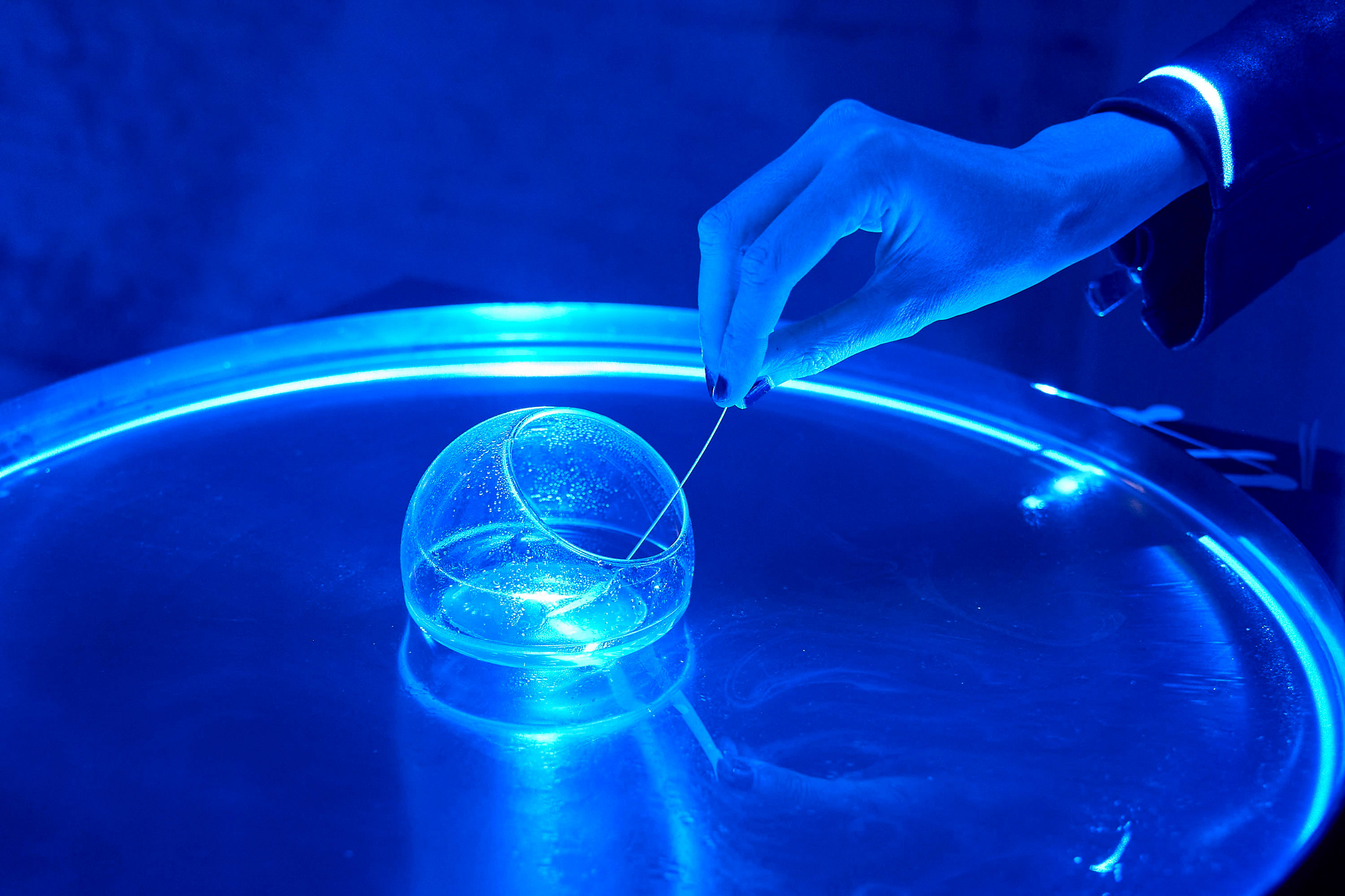 Sound_Of_Fragrance_10