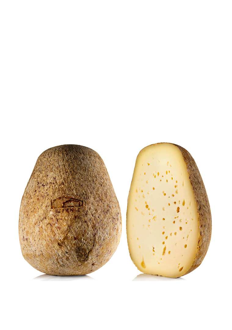 Schiena-d_Asino-Giovane