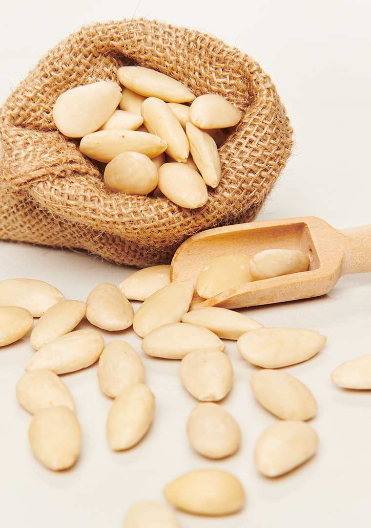 bertolini-_-figli3011