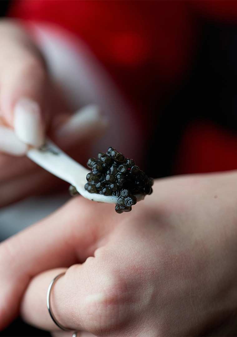 caviale-sulla-mano
