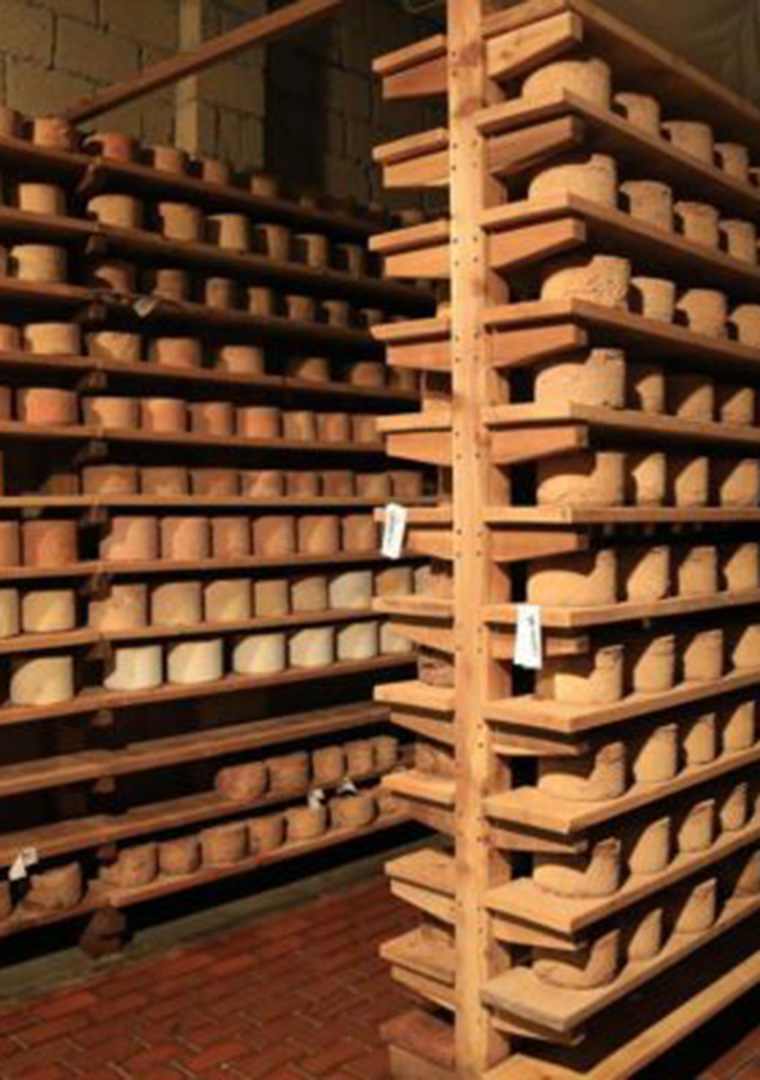 stagionatura-600x400