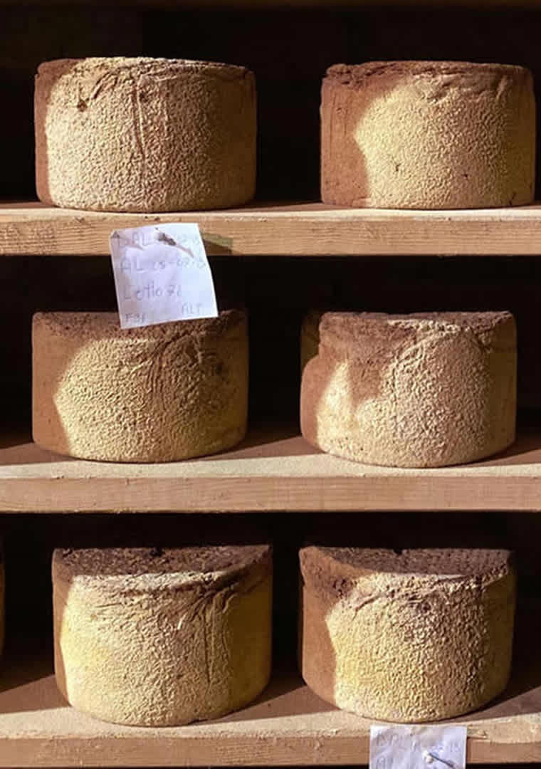 stagionatura_montagna