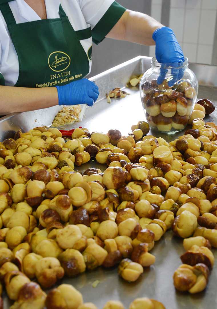Lavorazione-porcini-Inaudi