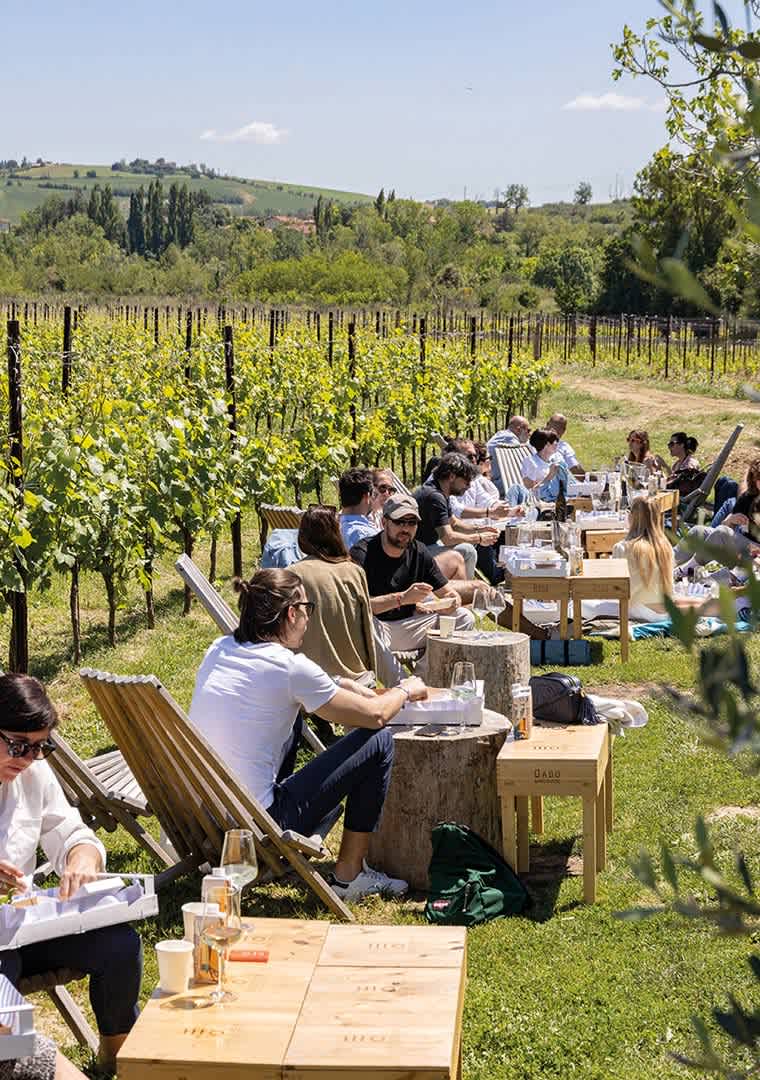 ottaviani-1_1000x1300