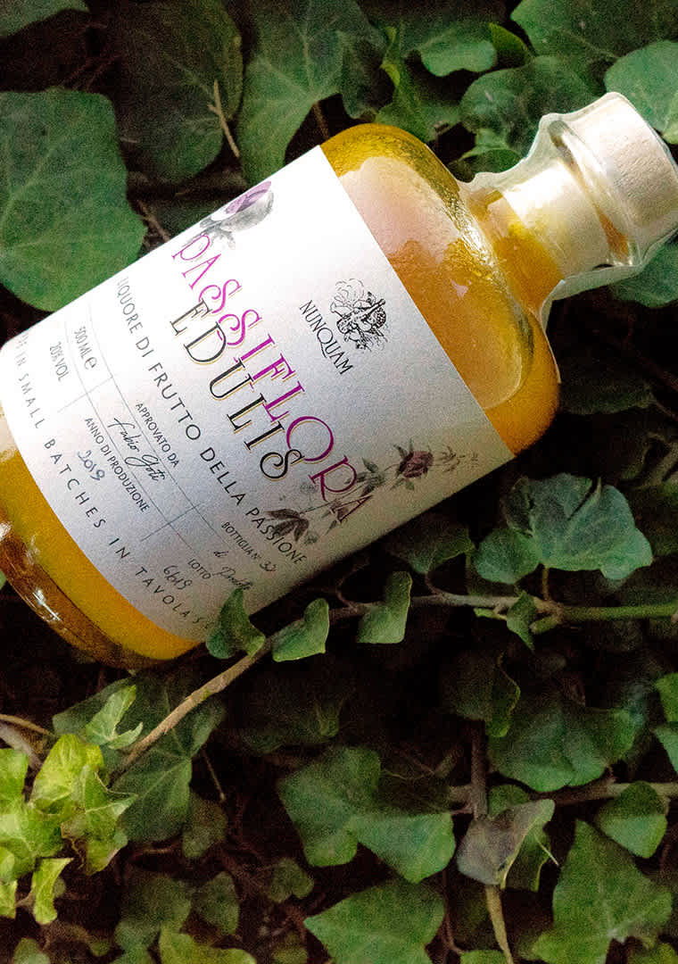 passiflora-con-sfondo-3