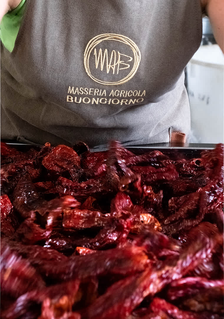 MAB-FOTO-_166-di-127