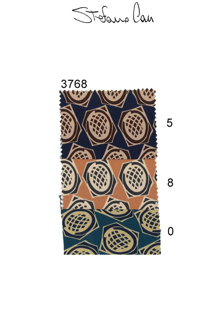 Stefano-Cau-Tie-Presentation-27