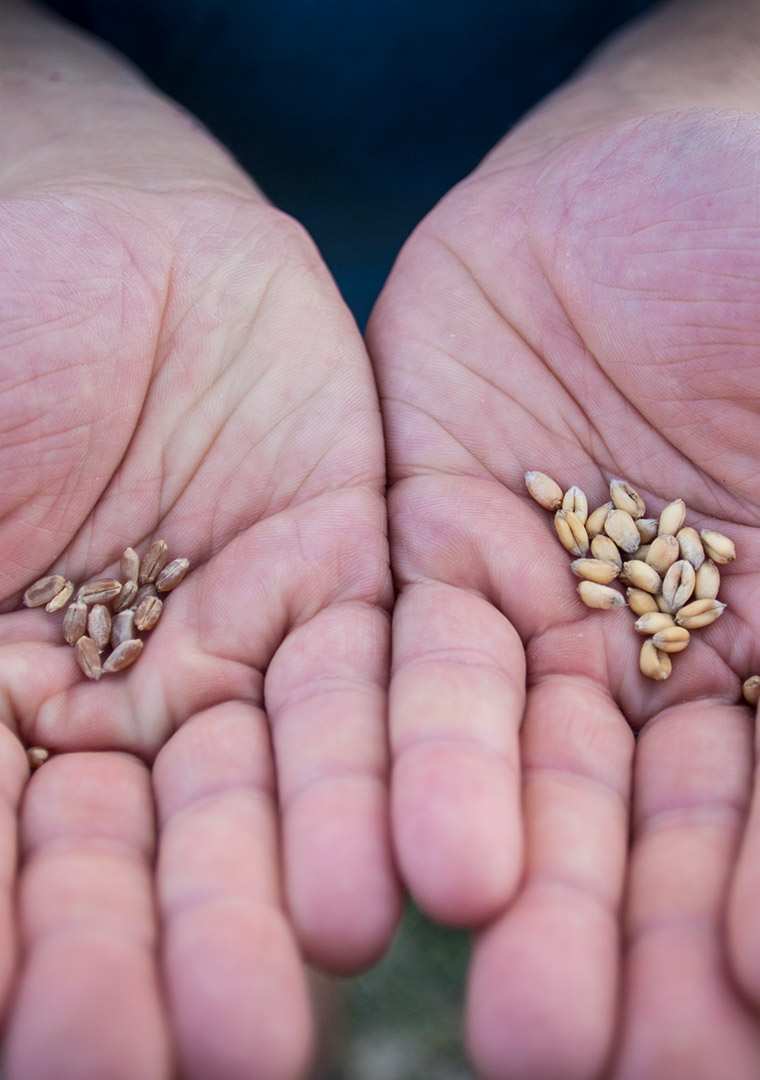 MulinoMarino_SerenaBascone008