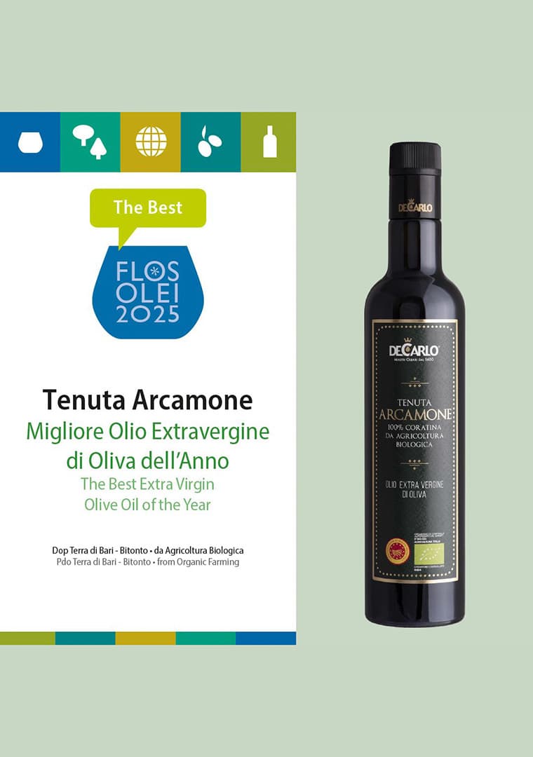 465685715_959984746160159_5171373516746746065_n