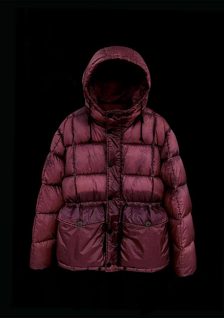 微信图片_20241212203230