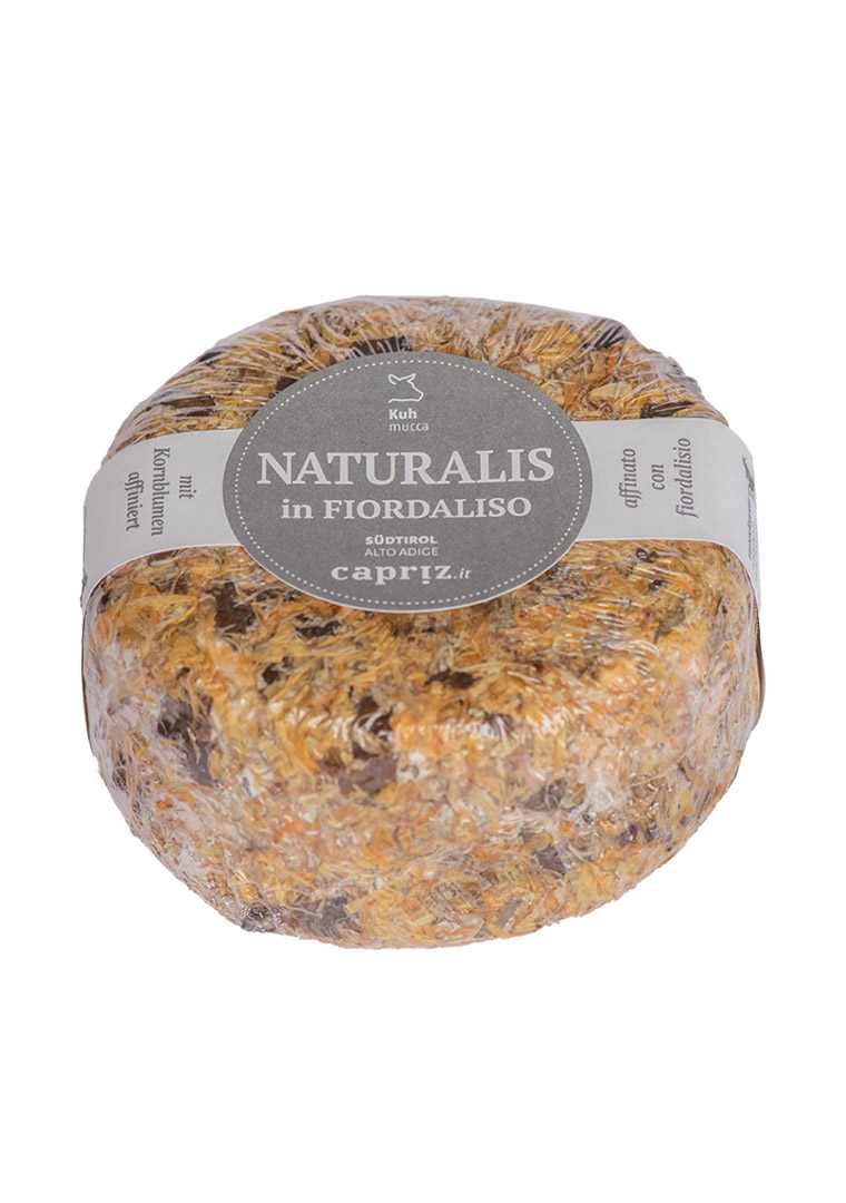 rotwild-Fiordaliso-5488