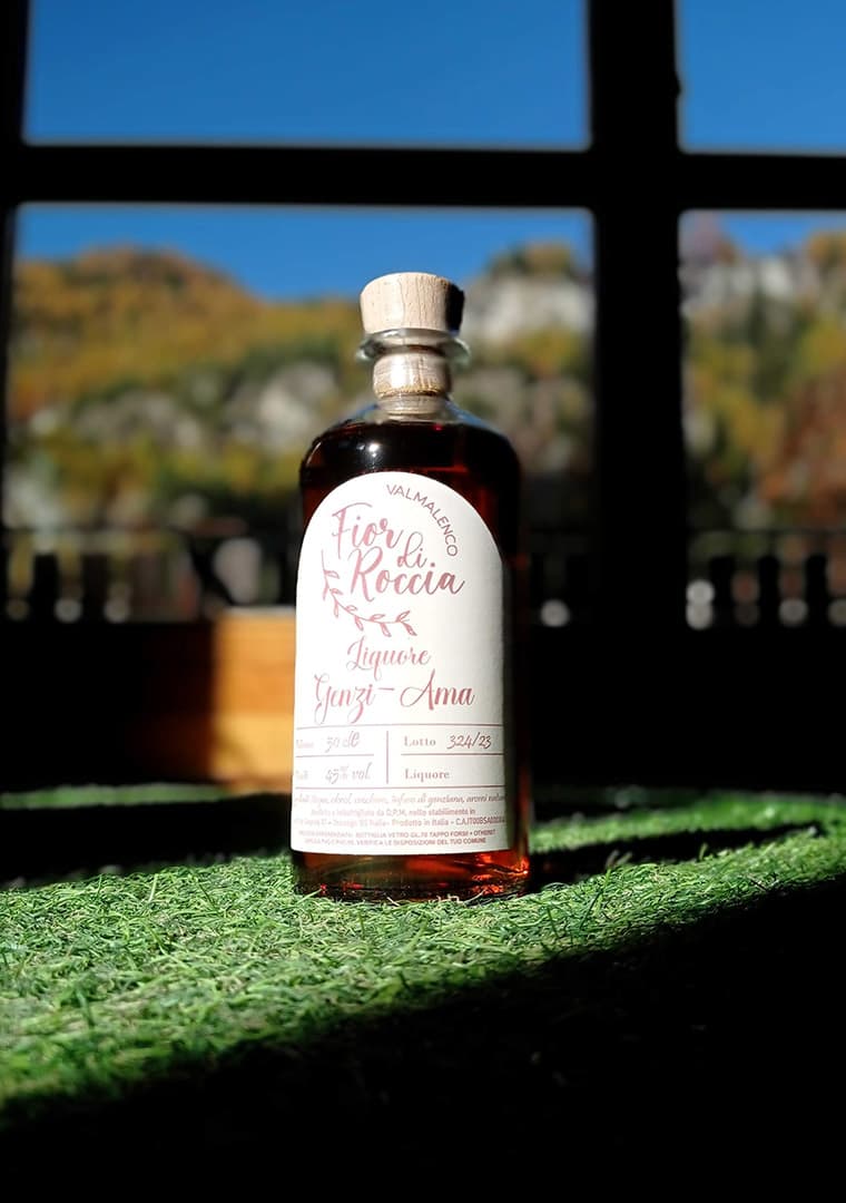 IMG_20241029_101411-_1