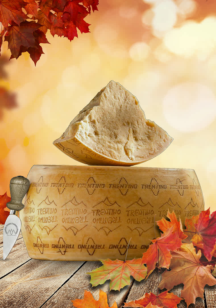 trentingrana-autunnale