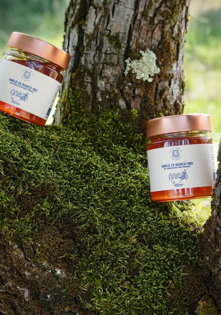 fattoriatriboli_miele_bosco