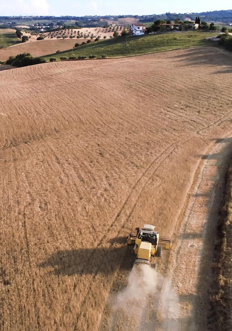 IMG_2025-02-05-120502