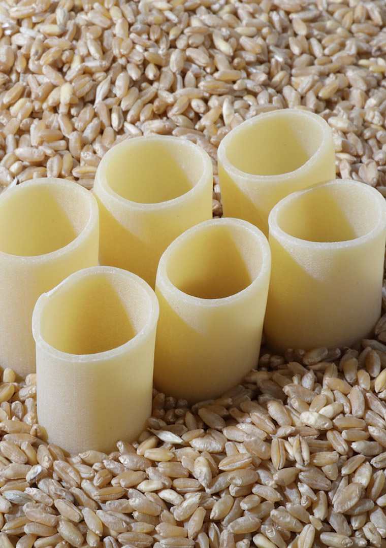 IMG_2025-02-05-121044