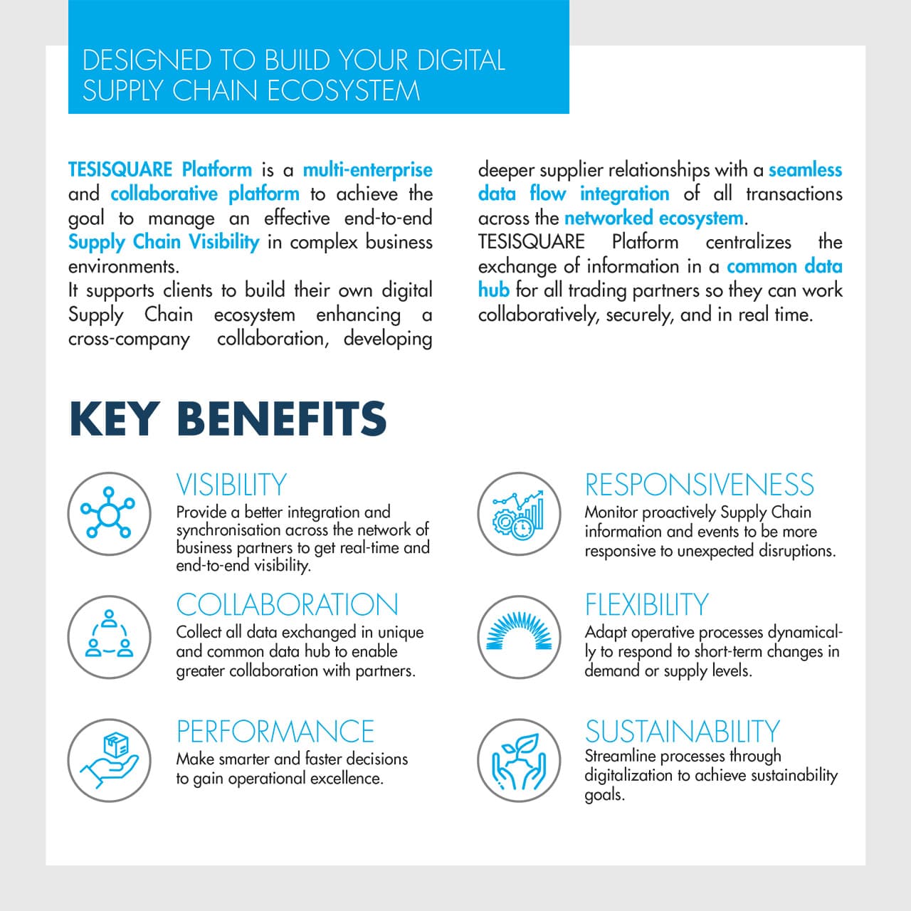 2024-TESI-EN-Brochure-Platform-2