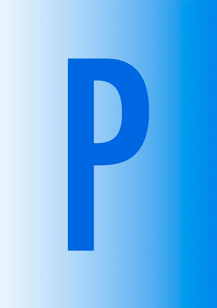 IconDataPilot_on_white