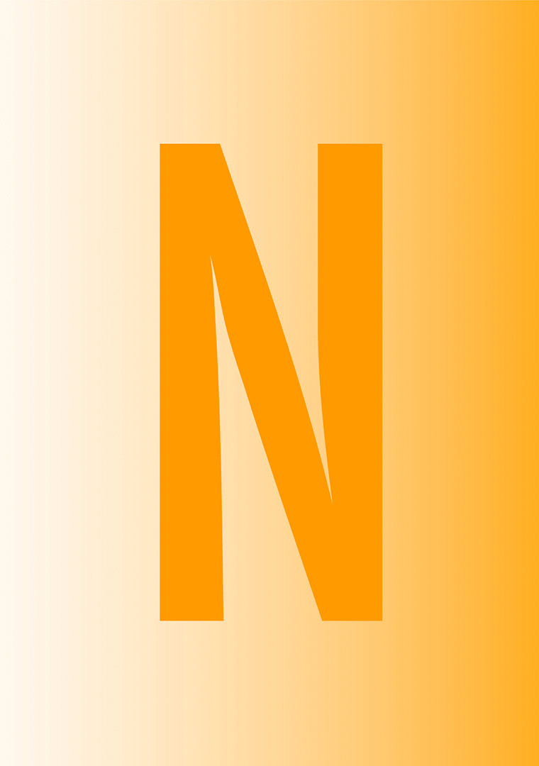 IconDataNext_on_white