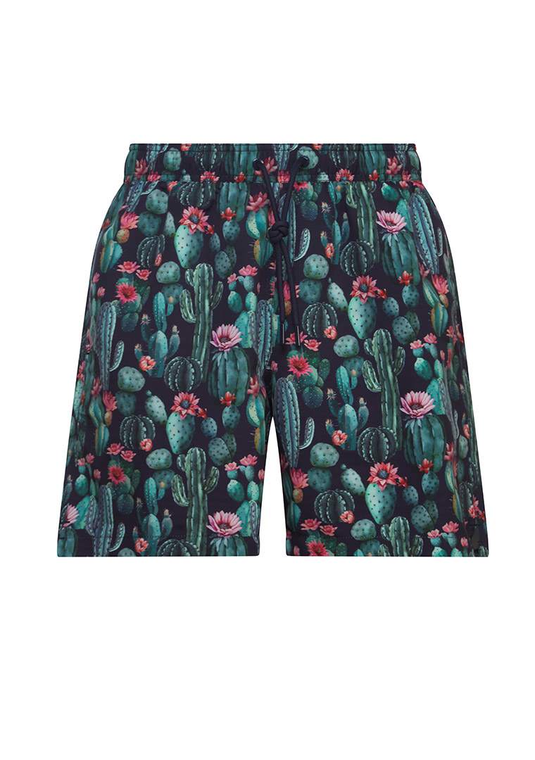 IMPULSO-_33043319Y-490