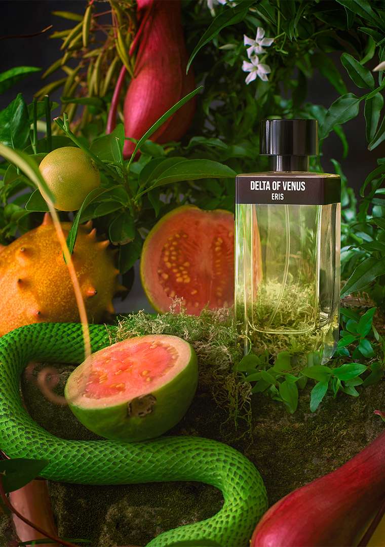 Still-Life-2-version-2b