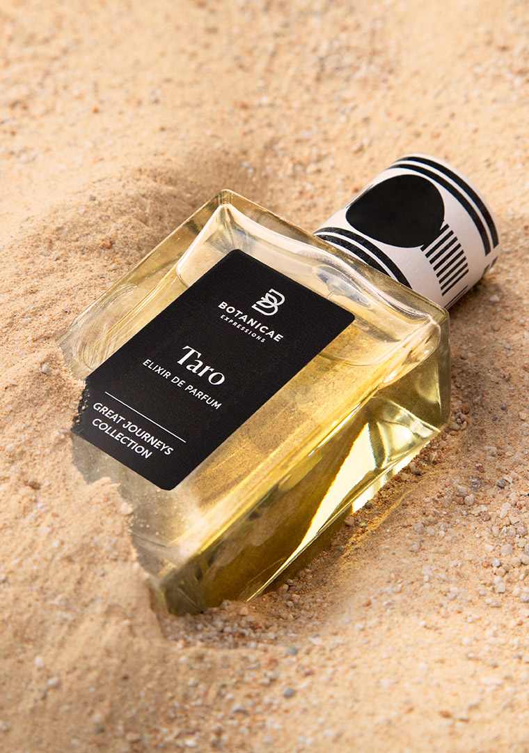 detalle-taro-02