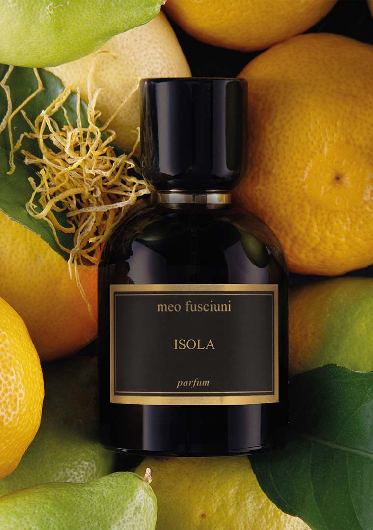 Meo_Tavola-disegno-1-04