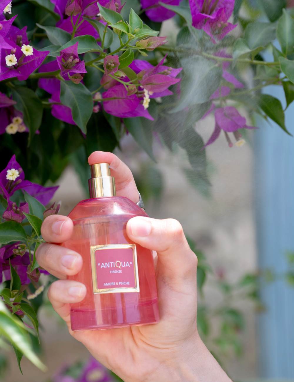 AMORE-_-PSICHE_DSC_7110_1000x1300