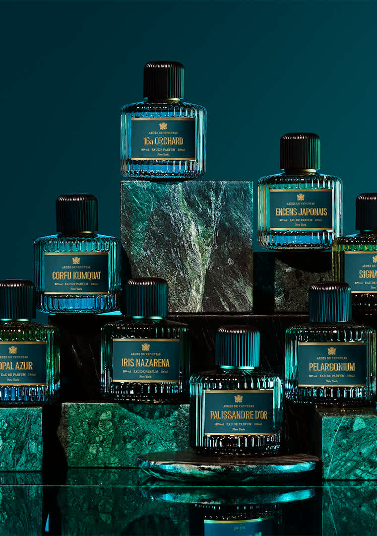 Hi-res-Aedes-de-Venustas-Group