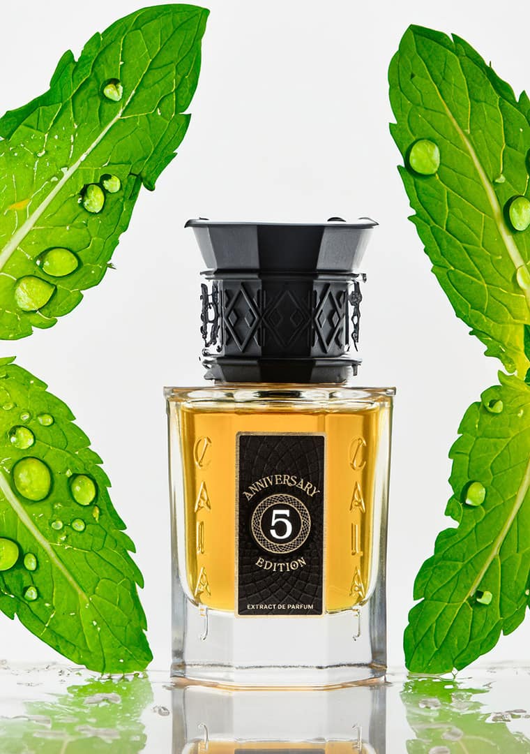 Calaj-5-Anniversary-artistic