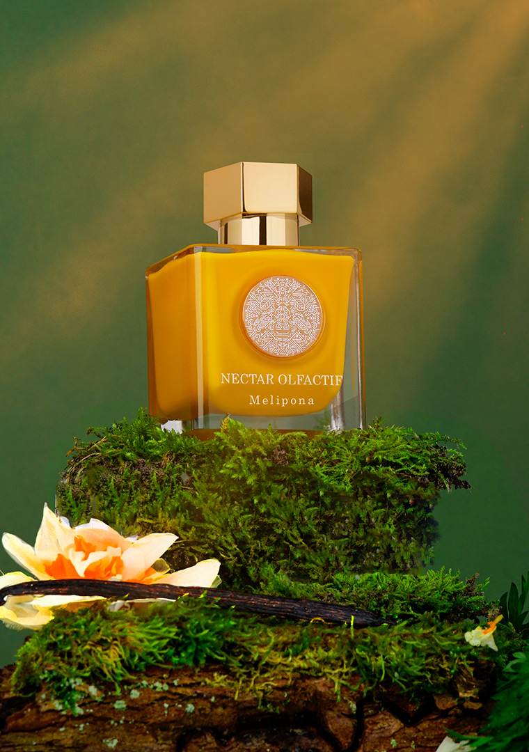 3_melipona-fond-vert