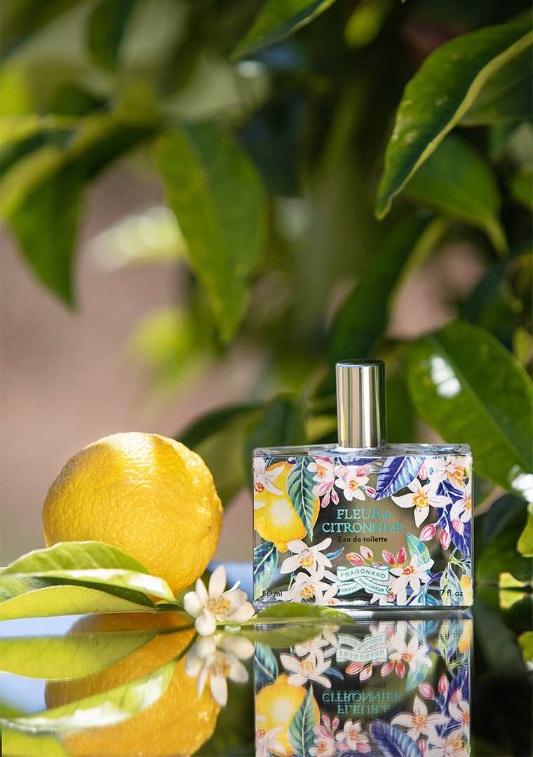 VAR2024008G0517-_8937