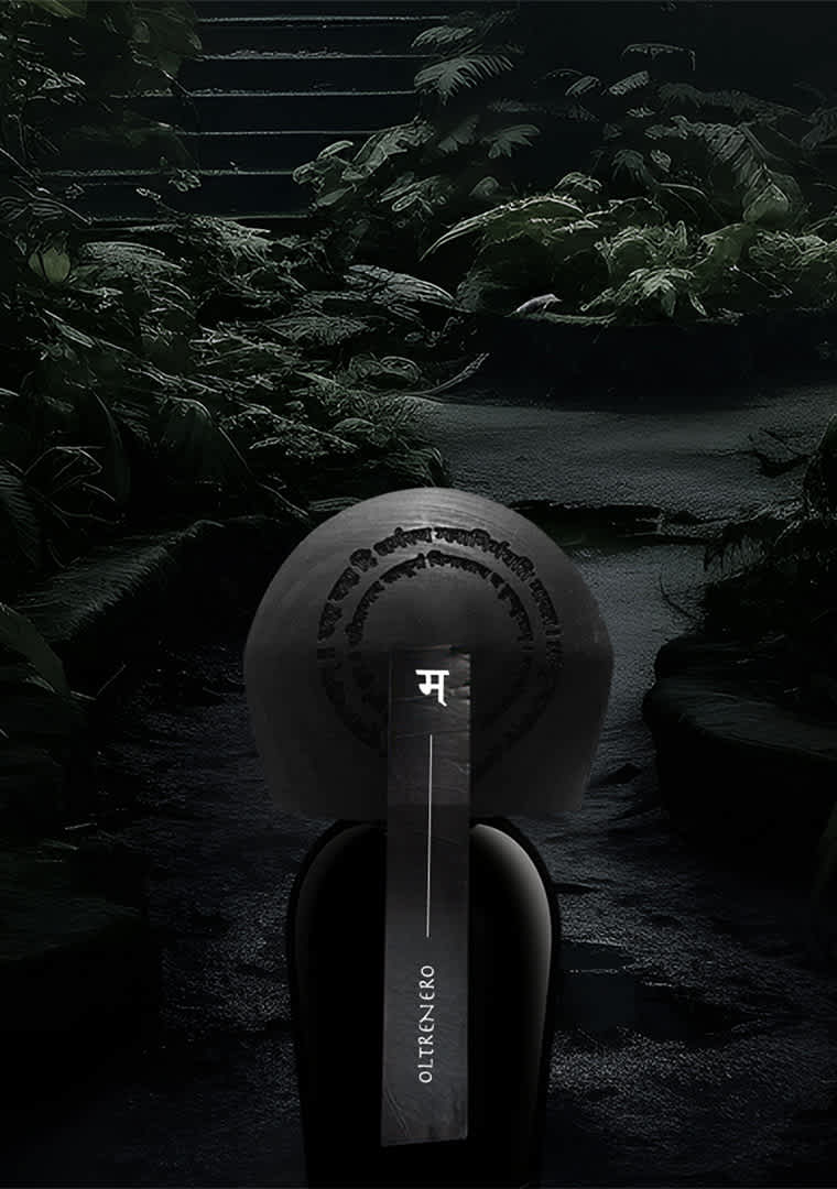 presentazione_rajani-15