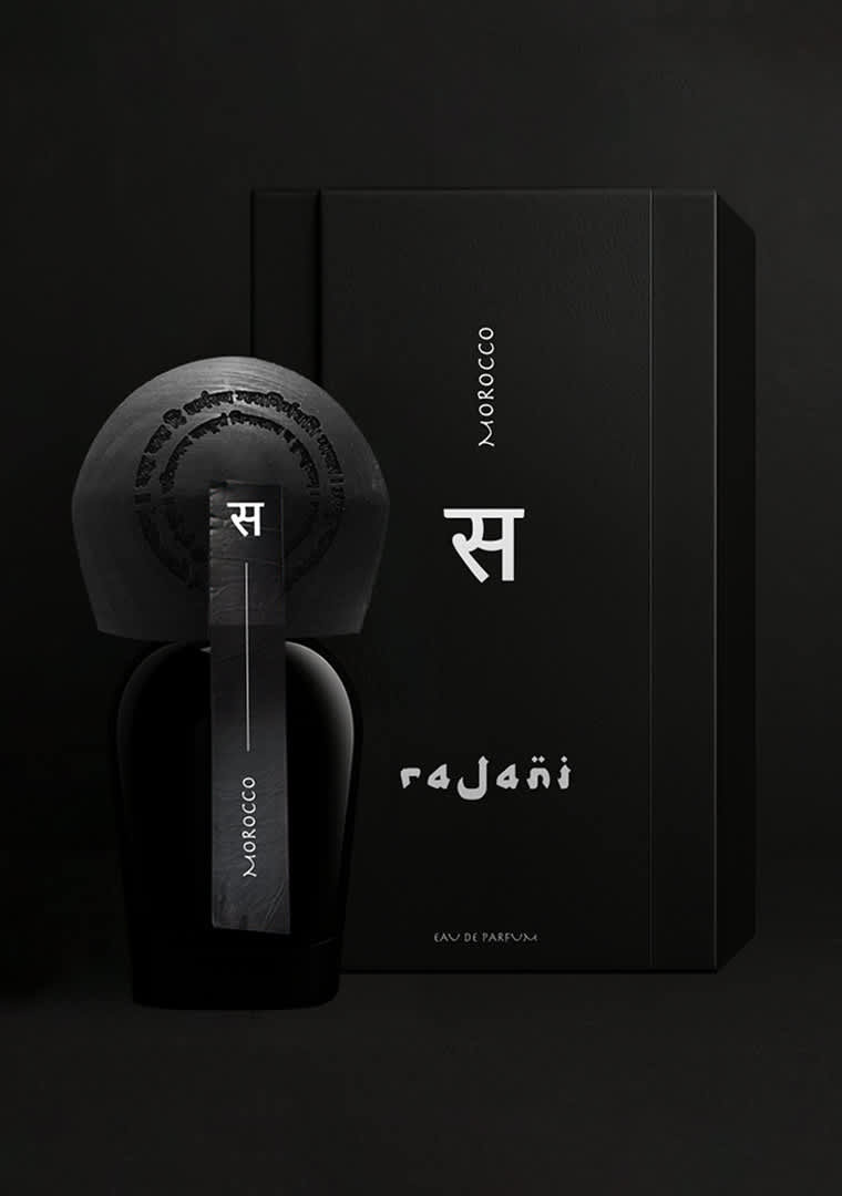 presentazione_rajani-10