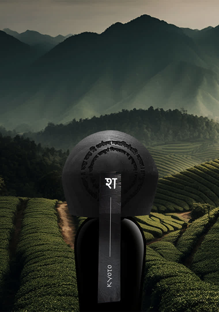 presentazione_rajani-9