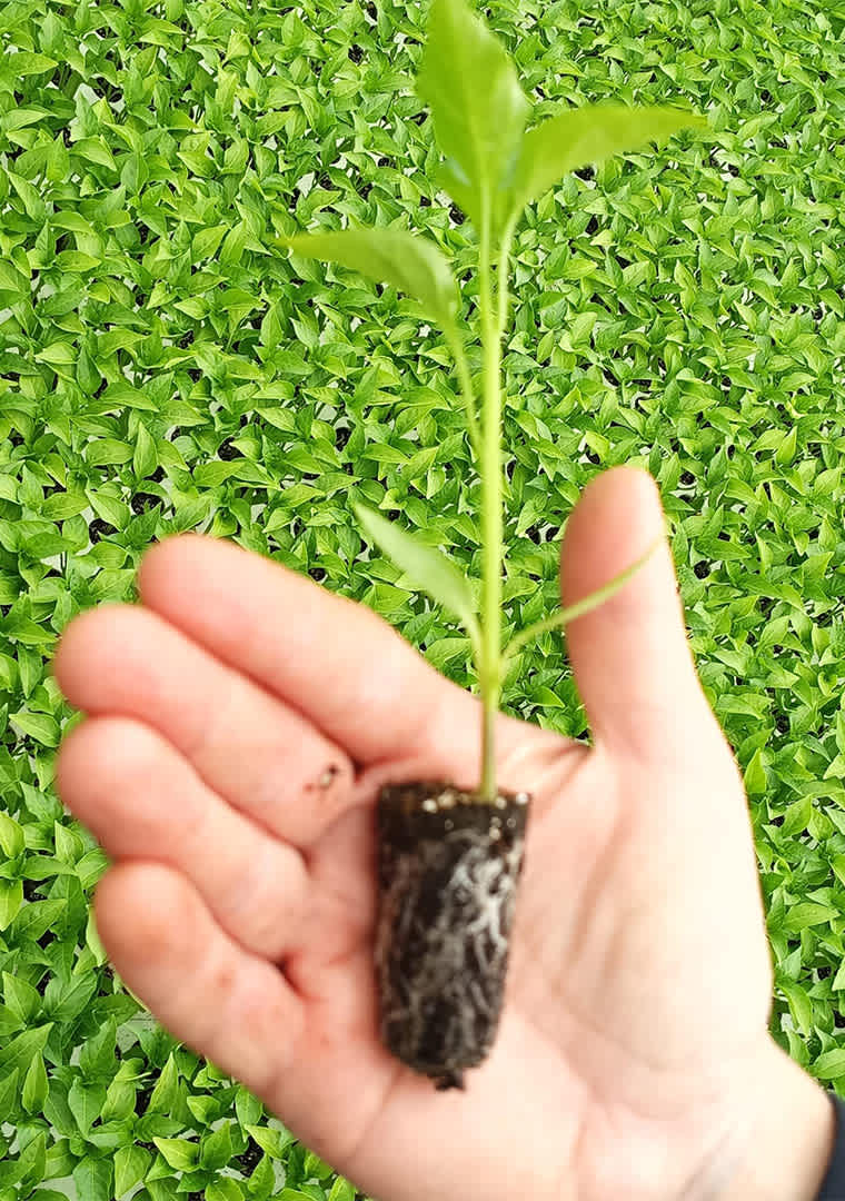 9ccbe36e-840b-4851-8d65-d604b23f3f98