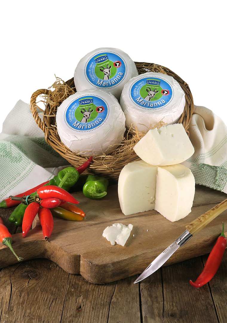 OVARO-Capra-Marianna